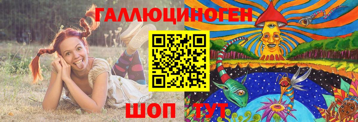 Северобайкальск  Галлюциногенные грибы Psilocybe  Псилоцибиновые грибы ЛСД  Вход с VPN 
