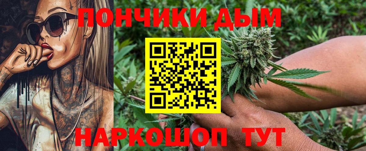 Шишки марихуана конопля Северобайкальск
